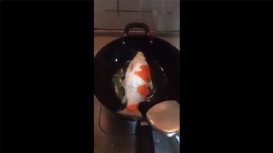 圖/擷取自影片