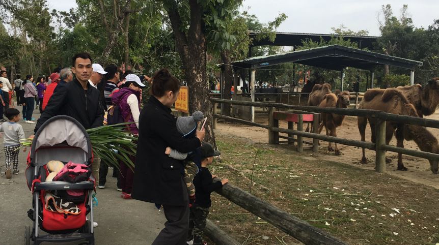 頑皮世界野生動物園/提供