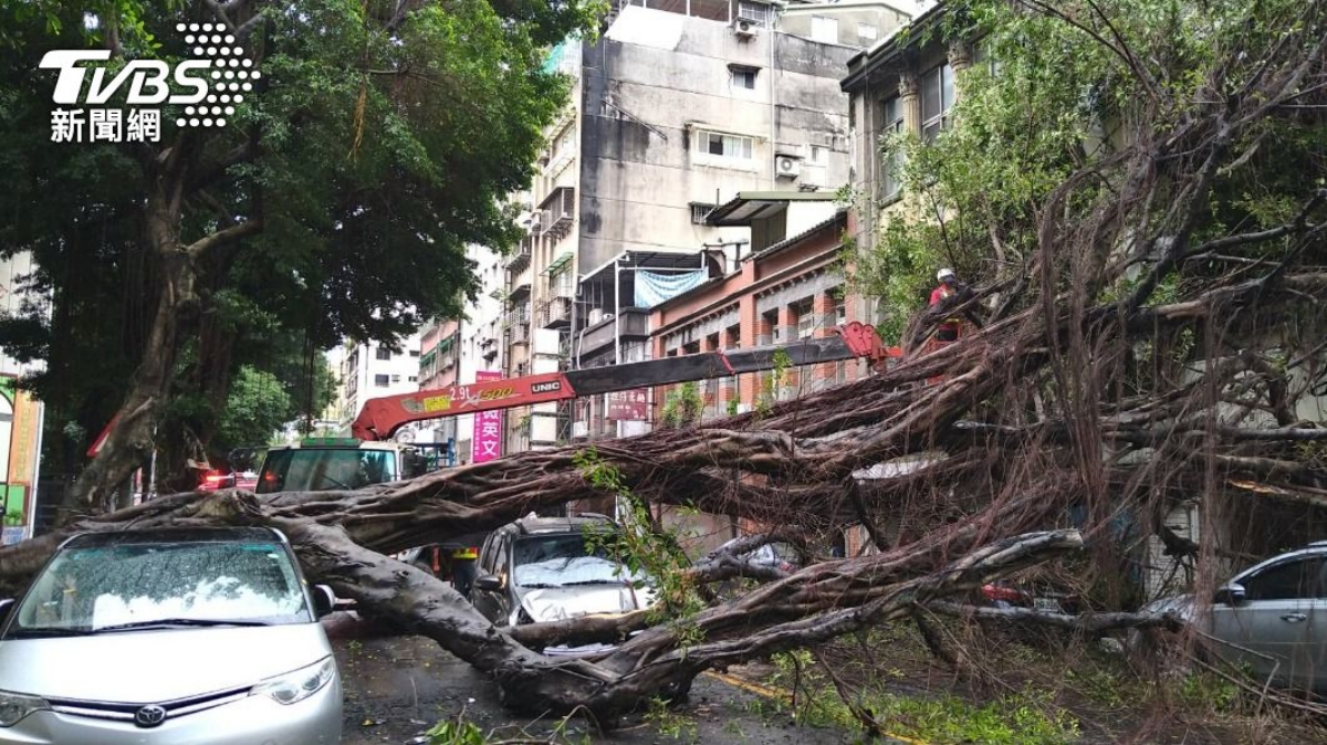 「颱風洪水險」比甲式還有用！　路樹砸車跟泡水都能陪