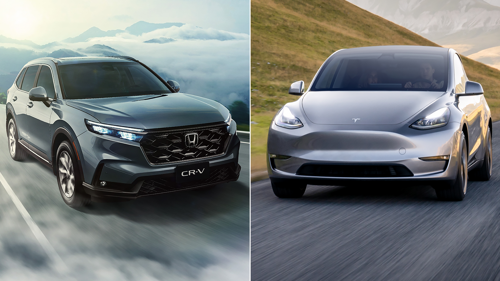 TNCAP電動車首試Model Y奪五星評等，CR-V自費測驗同獲五星