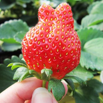 2021新北耶誕聚餐首選!板橋6家打卡餐廳:全台最高Buffet、環景瀑布烤鴨店 img