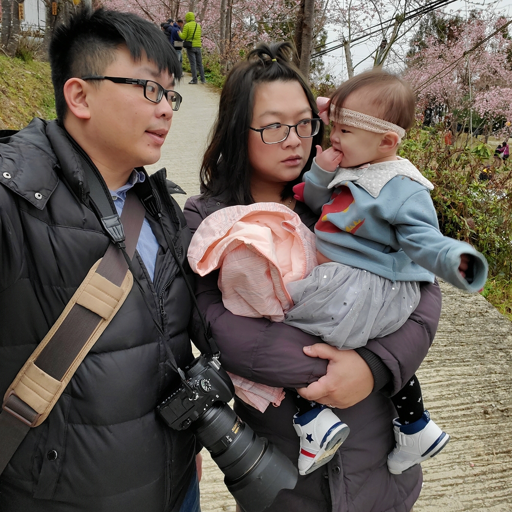 朝聖第一波「梅雪」!5處絕美賞梅仙境:占地15公頃、4000棵梅樹齊放 img