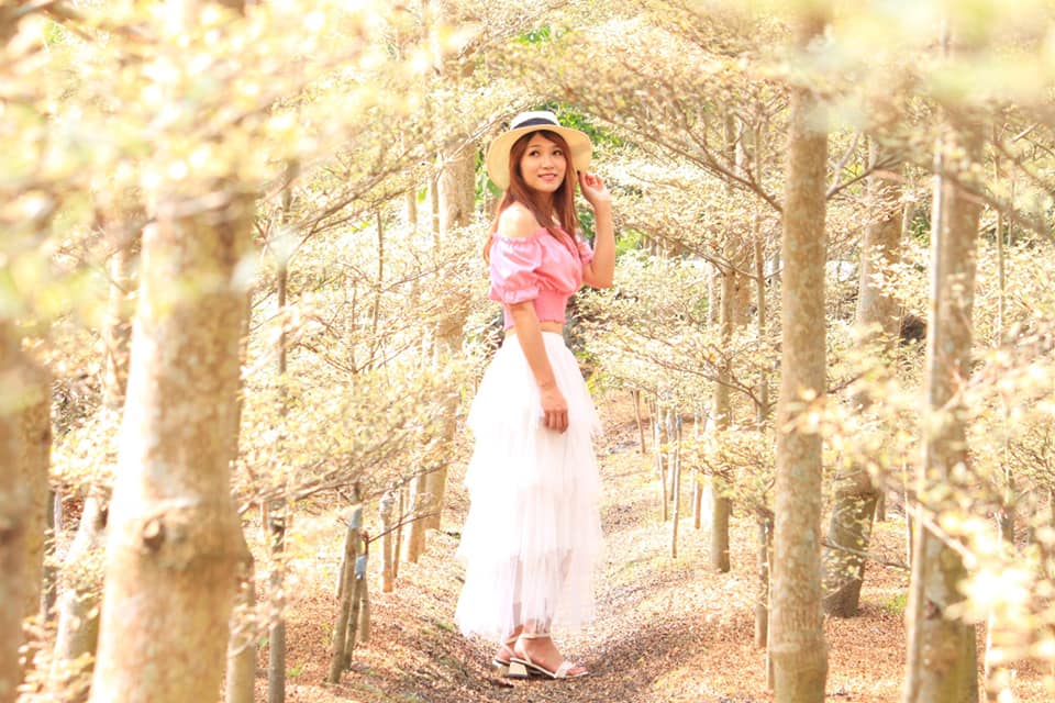 普渡拜拜必衝!全台17間最強零食批發、進口食品專賣:台版好市多、素食超市 img