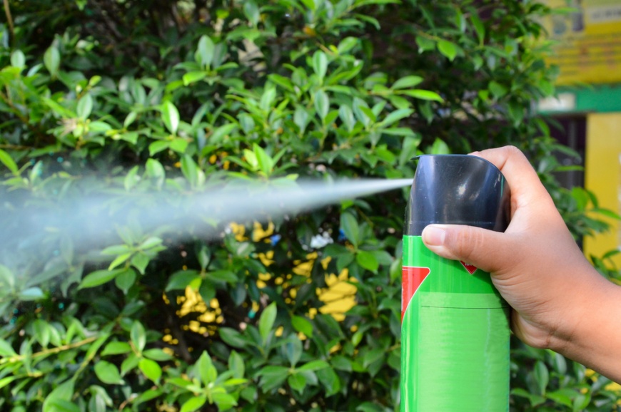 以殺蟲劑噴人口鼻可能令人中毒死亡。示意圖／shutterstock