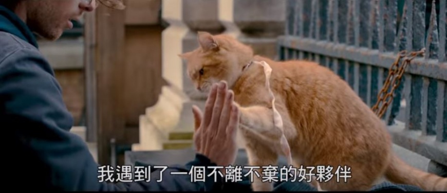 圖片截自：遇見街貓BOB預告片／國際采昌