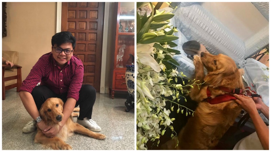 菲律賓一名大一升遭霸凌致死，愛犬趴在他棺木上遲遲不肯離去。(圖／翻攝自臉書)