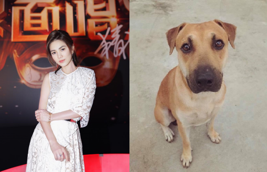 合成圖。(左)ELLA，(右)ELLA的屏東愛犬「阿發」。畫面翻攝/ELLA臉書