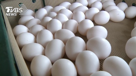 15萬顆芬普尼毒雞蛋流入9縣市　查污染源最新進度曝