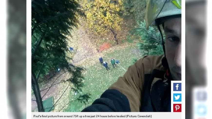 英國一名樹藝師在樹上傳自拍照給母親，抱怨工作內容很危險，不料幾小時後他竟從樹上摔下身亡。(圖／翻攝自都會報)