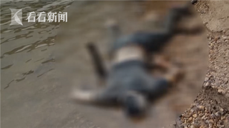 江西南昌一處河灘上發現男性浮屍，深入追查發現，殺害他的竟是他的親生父親。(圖／翻攝自看看新聞)