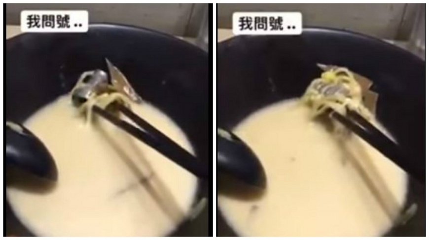 網友吃拉麵卻撈到水龍頭，當場讓他嚇傻了。(圖／翻攝自YouTube)