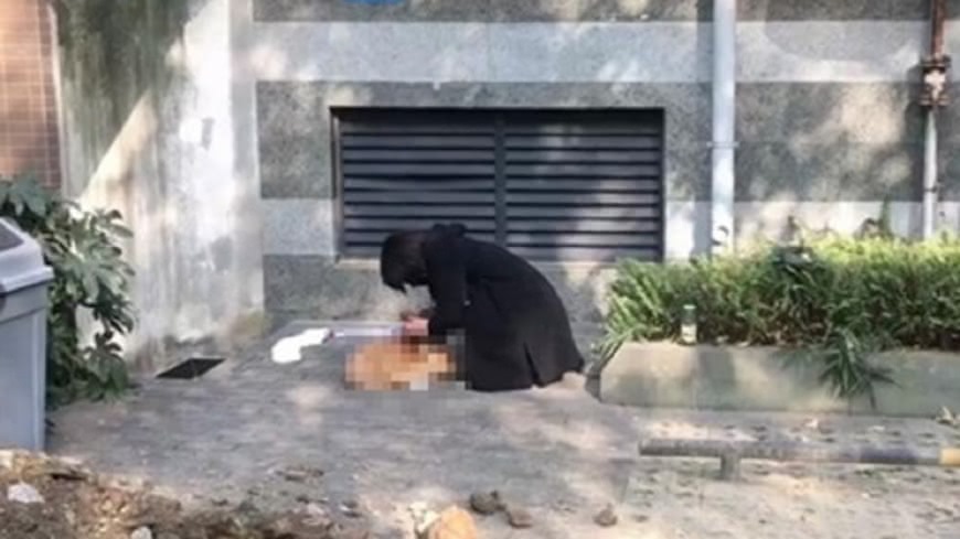 20180115093204-1b5fafef - 20180115093204-1b5fafef.jpg 發現愛犬被摔死,Zero旦旦難過痛哭