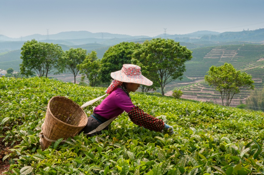 ▲示意圖，非當事畫面／ShutterStock／版權所有，嚴禁轉載