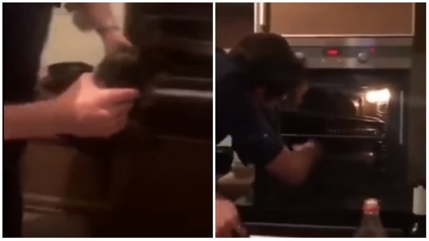 圖／翻攝自YouTube，下同 冷血！他將黑貓塞進375℃烤箱　屁孩起鬨：再烤一次