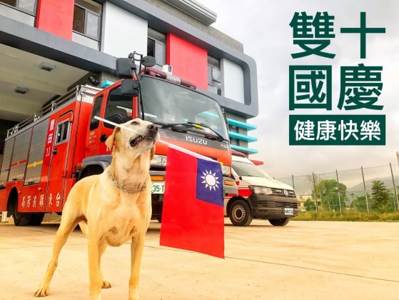 台東搜救犬「健康」。圖/翻攝自台東縣消防局