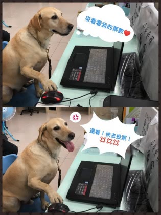 圖/翻攝自台東縣消防局