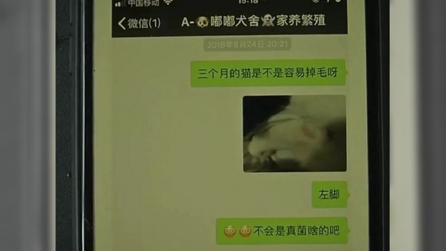 圖/翻攝自鳳凰網
