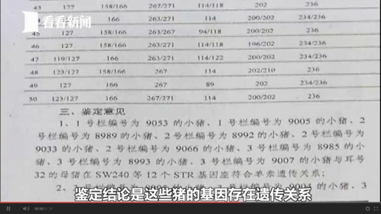 警方最後透過鑑定結果,順利將嫌犯逮捕歸案。圖/翻攝自《看看新聞》