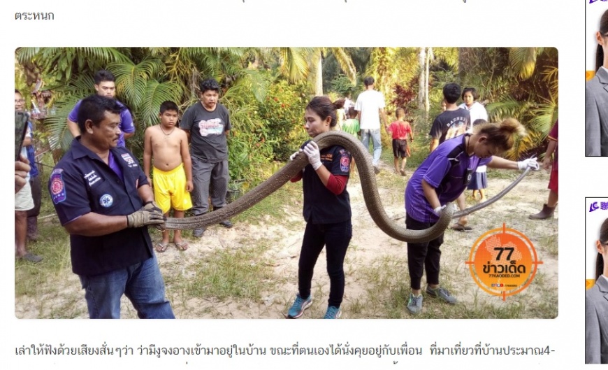 圖/截取自77 ข่าวเด็ด