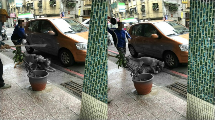 圖/民眾提供