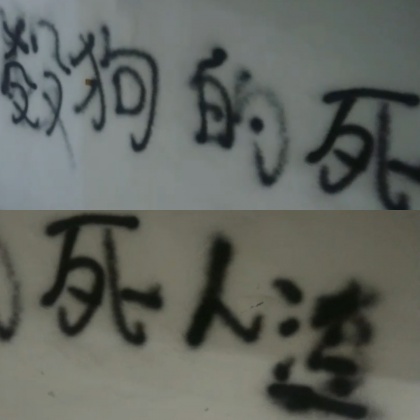 男養比特犬攻擊流浪狗3 - 男養比特犬攻擊流浪狗3.jpg 圖/民眾提供
