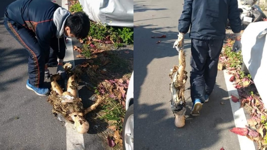 圖/翻攝自爆怨公社臉書