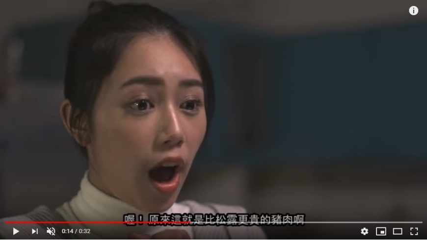 圖/截取自陸委會youtube