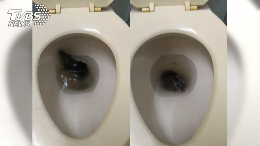 圖/ 網友陳小可授權使用