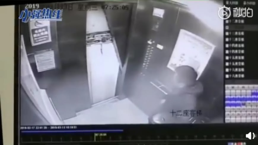 踢死蚊子壞電梯門2 - 踢死蚊子壞電梯門2.jpg 圖/翻攝自微博