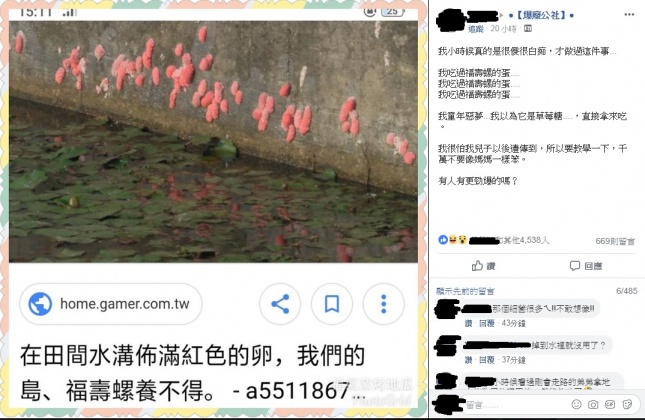 截取自爆廢公社/福壽螺原文 - 截取自爆廢公社/福壽螺原文.jpg
