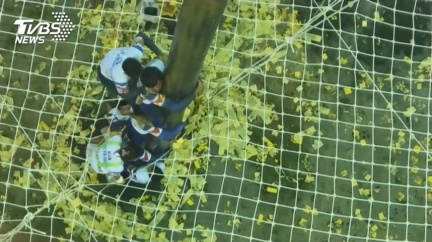 全台唯一搶孤　冠軍5分鐘登頂、1選手暈倒