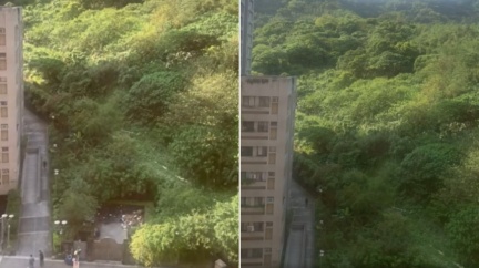 南港山區傳詭異「怪獸嘶吼」 居民嚇求解:聽過3次!