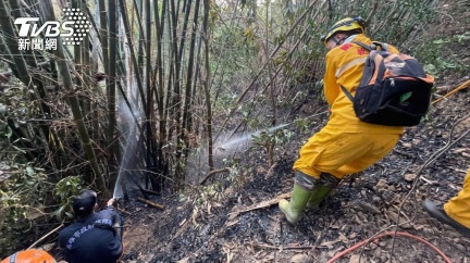 獼猴常闖神桌偷供品 男放沖天炮嚇猴引發火燒山 遭法辦