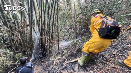 受不了!獼猴偷水果!屋主放沖天炮嚇猴 引山林火災