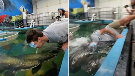 美網紅嘴咬餌戲耍 慘遭「巨骨舌魚」撞頭墜水底沉沒