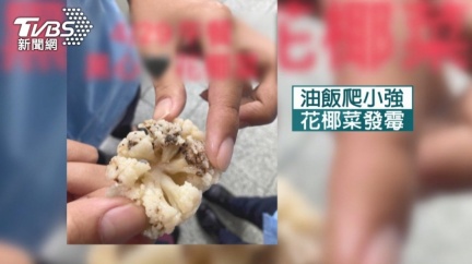 「油飯爬小強、花椰菜發霉」 辭修高中家長控曾多次反應食安問題