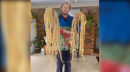 群聚開趴?屋頂撈出「50張蛇皮」 專家曝畫面超震撼