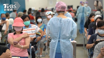 台灣之光！Goolgle首頁推出珍珠奶茶小遊戲 玩家化身1動物│TVBS新聞網