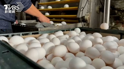 蛋價連兩周調降近成本價　養雞協會憂端午節崩盤