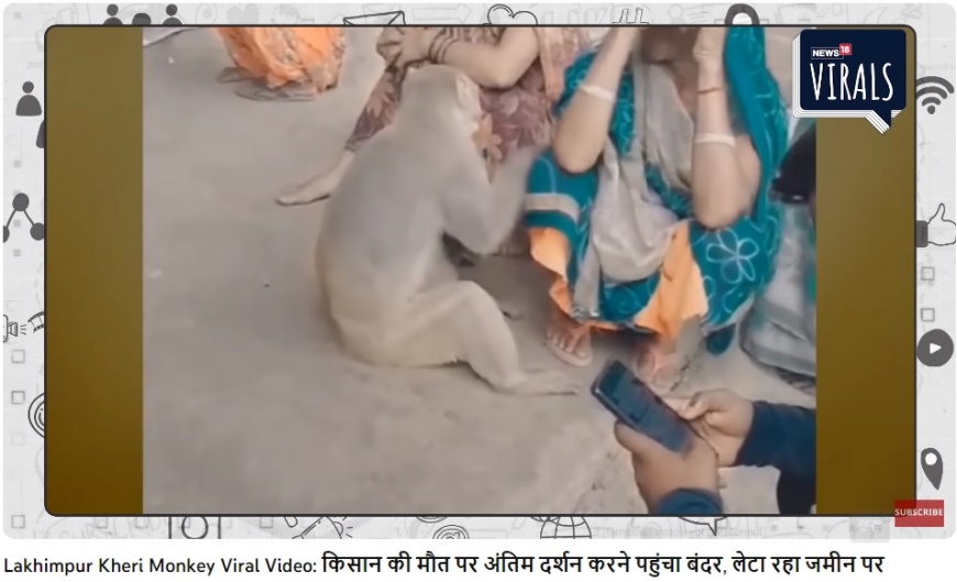 該隻猴子還將手臂放在死者親友的膝蓋上，似乎在表達安慰。（圖／翻攝自　News18 Virals YouTube ）