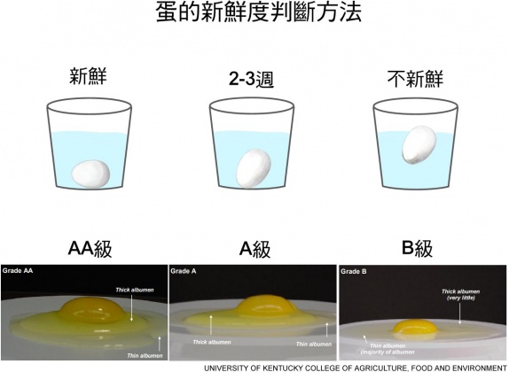 專家分享2套判斷雞蛋是否新鮮的方法。(圖/翻攝自「韋恩的食農生活」臉書)