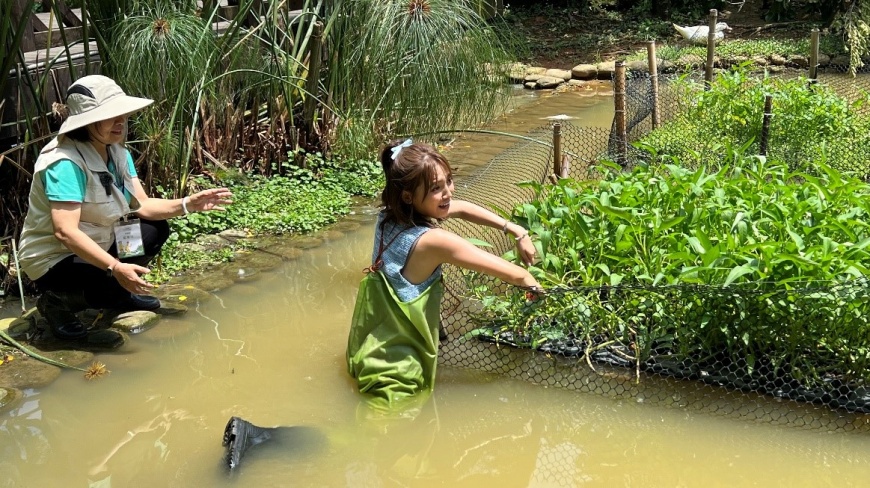 圖/主持人Dora穿著青蛙裝，進入魚菜共生的生態區採摘葉菜、餵食園區內的動物