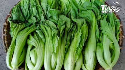 過年圍爐長年菜苦到吞不下　農糧署教這招意外好吃