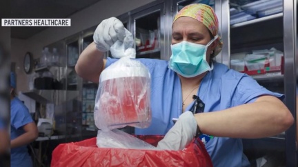 全球首例「基改豬腎移植人體」　男手術7週後身亡