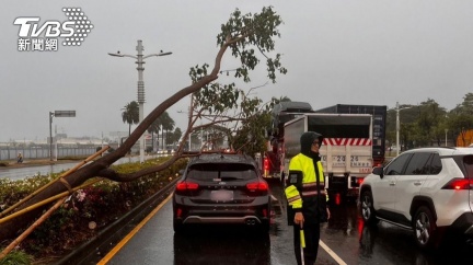 風雨狂炸「高雄1天倒2棵樹」　Uber等紅燈衰被重砸