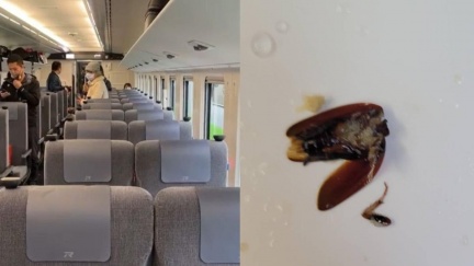 乘客吃便當挖出「斷頭大蟑螂」　台鐵出面了