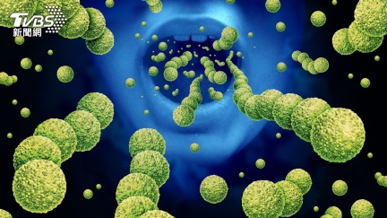 日本「食人菌」大流行　感染症狀、預防方法一次看