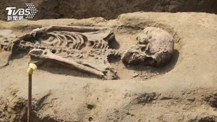 嘉義出土2500年前俯身葬骨骸　驚現「嚼檳榔」痕跡