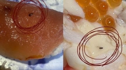 迴轉壽司驚見飛蟲？店員堅稱「香菇、海苔」惹毛客　業者回應了