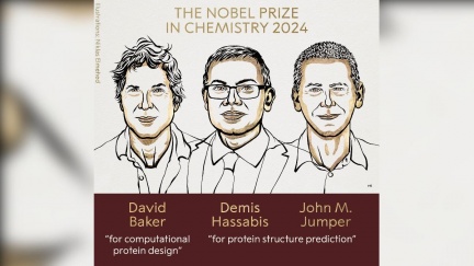 蛋白質結構突破性研究　英美3學者共享諾貝爾化學獎